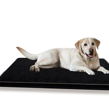 PaWz Pet Bed Dog Beds Cushion Cover Mat Soft Calming Pillow Mat Puppy Bedding 5cm PaWz